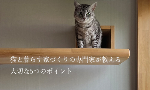 猫と暮らす家づくりの専門家が教える大切な5つのポイント