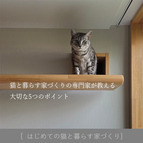 Title : 猫のために家を建てるなら考えておきたいコト