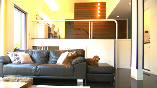 水平線を強調した犬が映えるインテリアデザイン