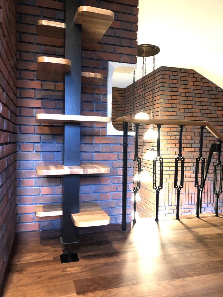 猫と暮らす家。キャットツリー。廣瀬慶二設計。