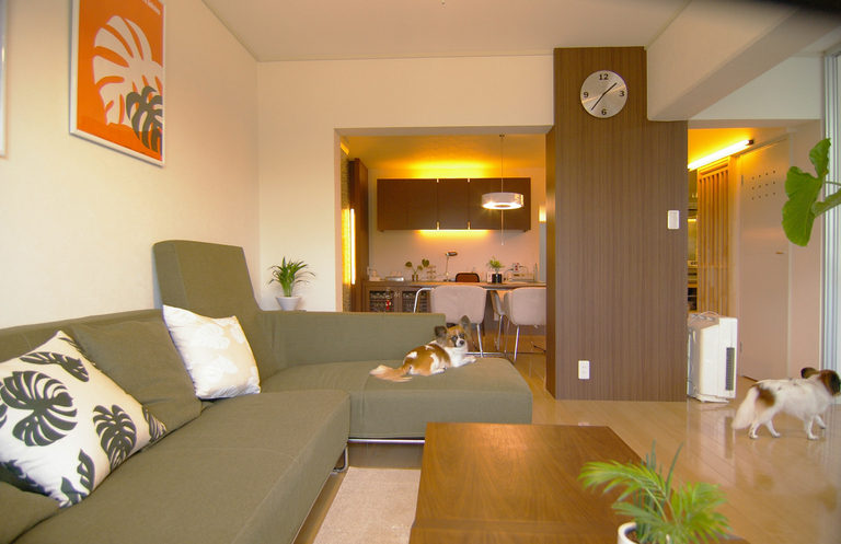 犬と暮らす家。2匹のパピヨンと暮らす家の設計実例。廣瀬慶二設計。