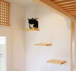 壁の猫ホール