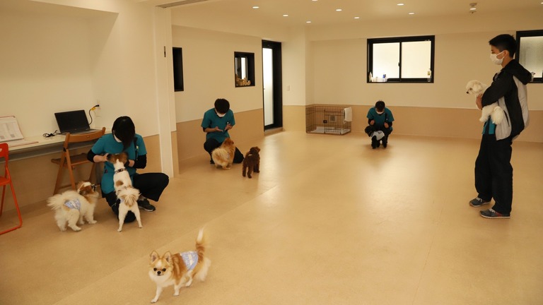犬と暮らす家。犬の幼稚園。廣瀬慶二設計。