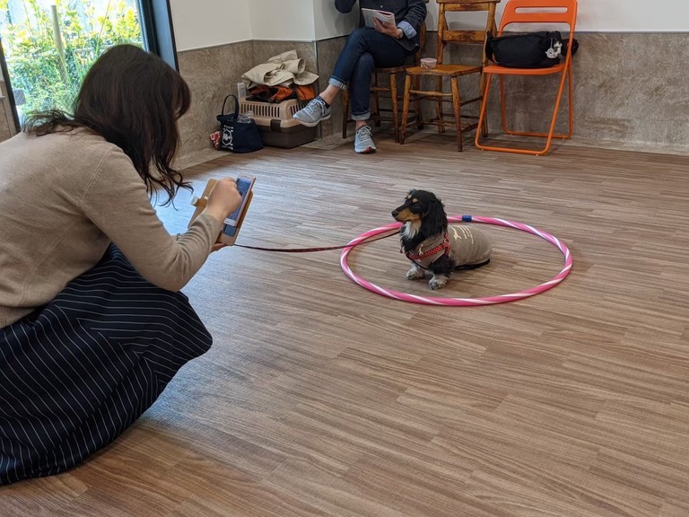 しつけ教室。廣瀬慶二設計。