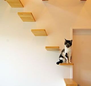 猫のいる階段ホール