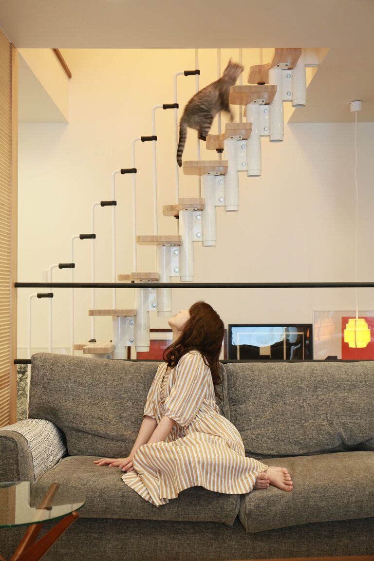 猫と暮らす家。廣瀬慶二の自邸　リビング・01。廣瀬慶二設計。