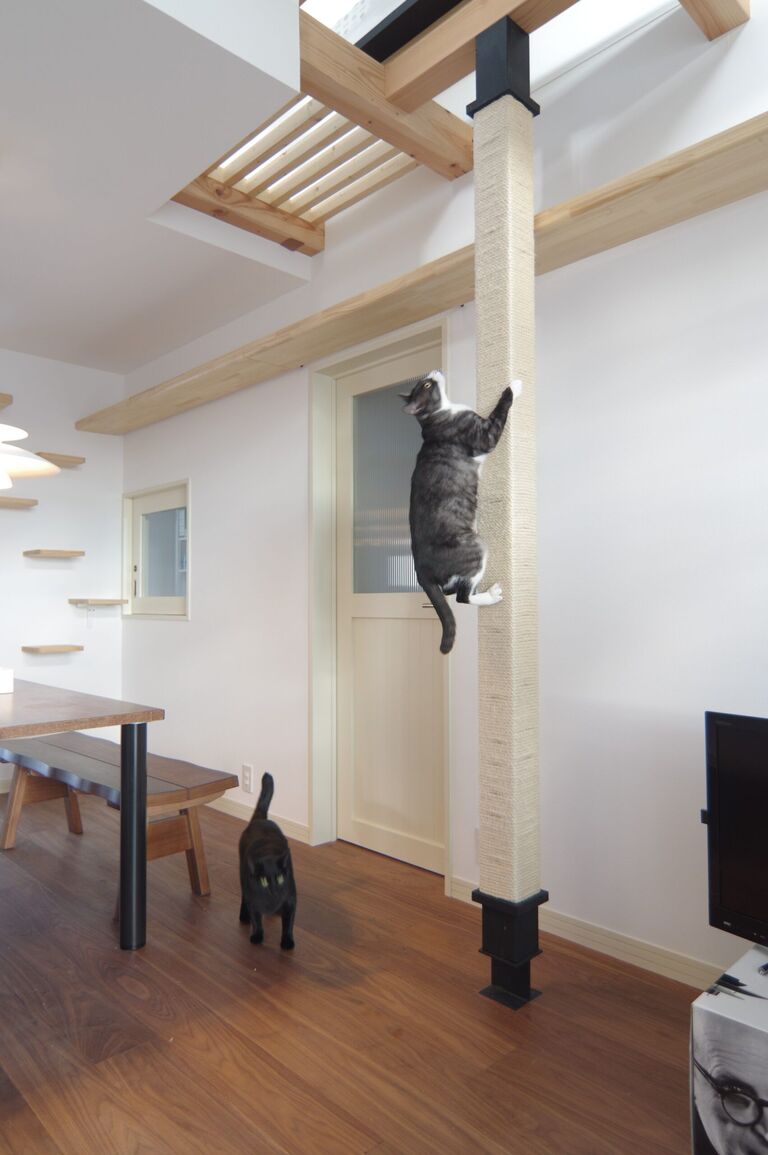 猫と暮らす家。猫柱（登れる爪とぎ柱）。廣瀬慶二設計。