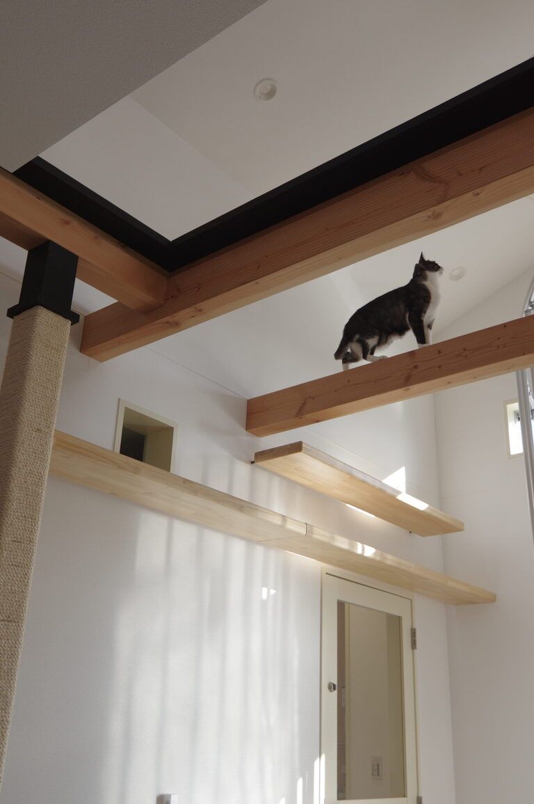 猫と暮らす家。吹き抜け02。廣瀬慶二設計。