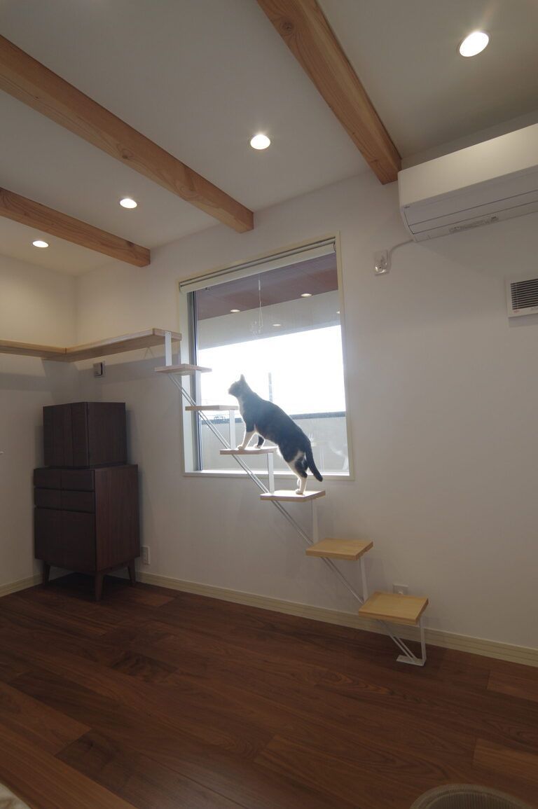 猫と暮らす家。２階にある猫との暮らしリビングルーム。廣瀬慶二設計。
