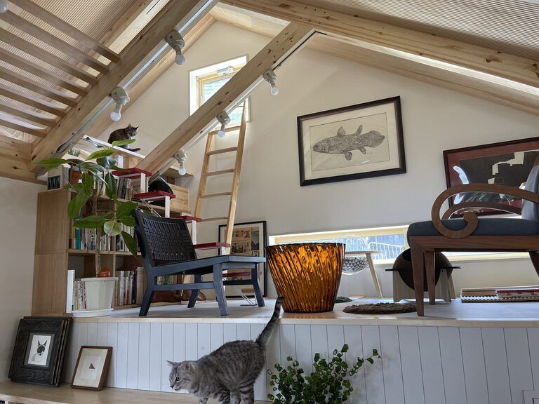 猫と暮らす家。廣瀬慶二の自邸　猫ロフト01。廣瀬慶二設計。