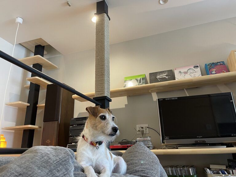 犬と暮らす家。廣瀬慶二の自邸　リビング・02。廣瀬慶二設計。