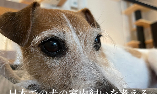 日本での犬の室内飼いを考える