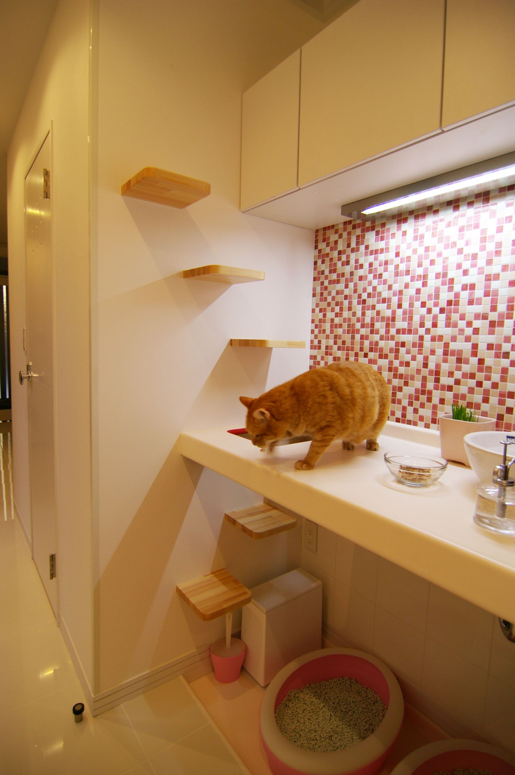 猫と暮らす家　ディストリクトの作成｜食事場所など機能が明確になっている場所