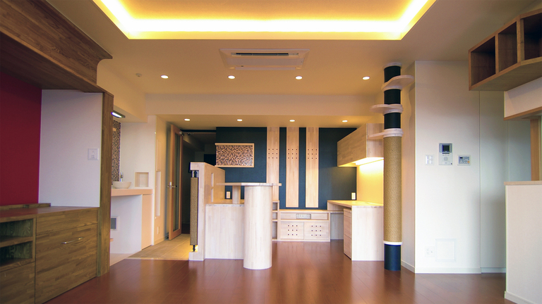 猫と暮らす家。猫と共に仕事をするワークスペース。廣瀬慶二設計。