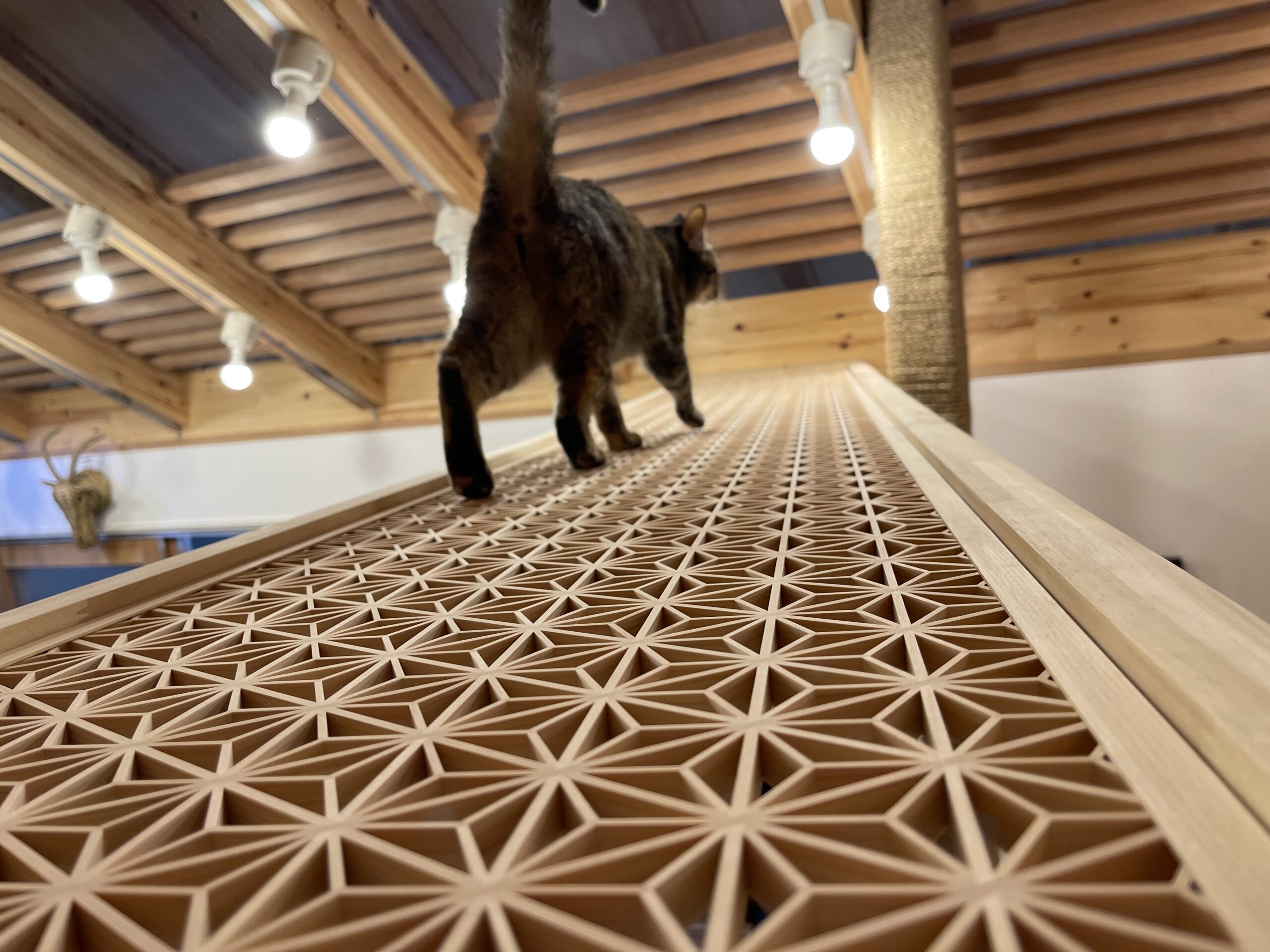 組子細工のキャットウォーク