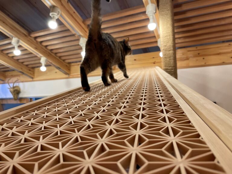 猫と暮らす家。組子細工のキャットウォーク上で佇む猫。。廣瀬慶二設計。