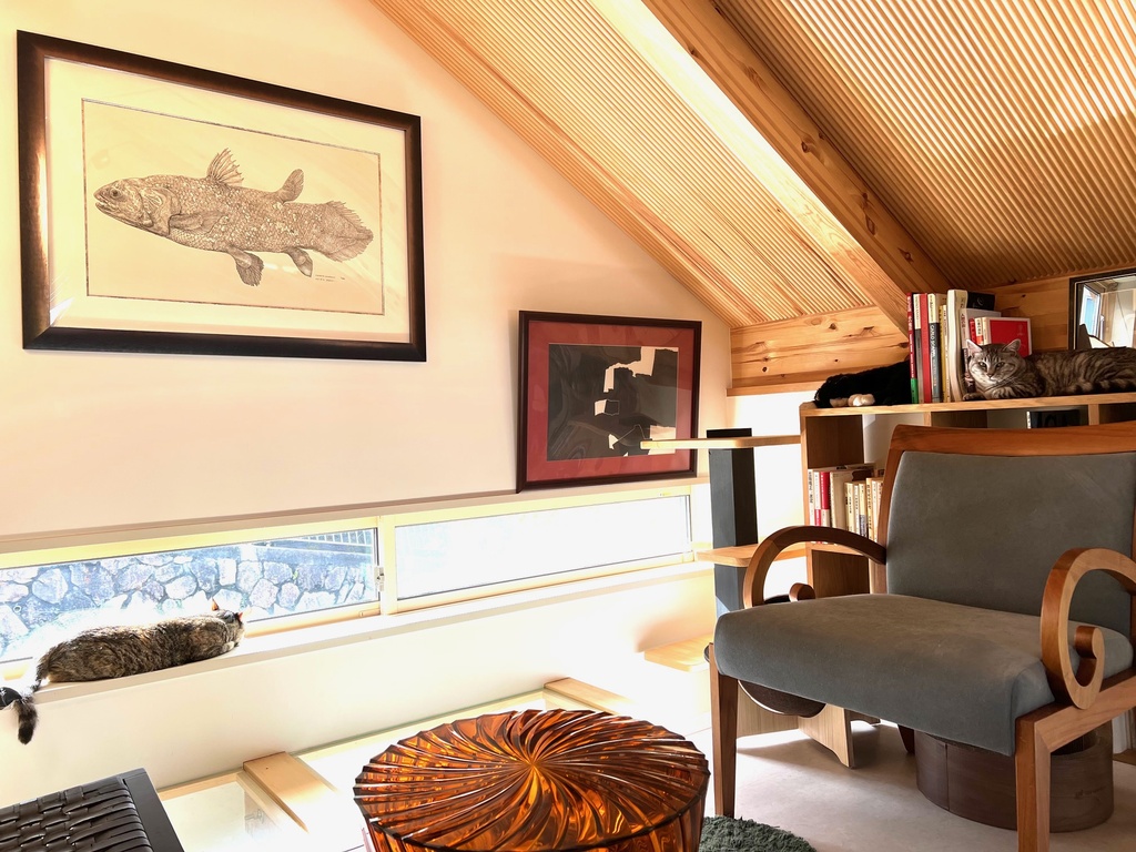 猫ロフトと地窓