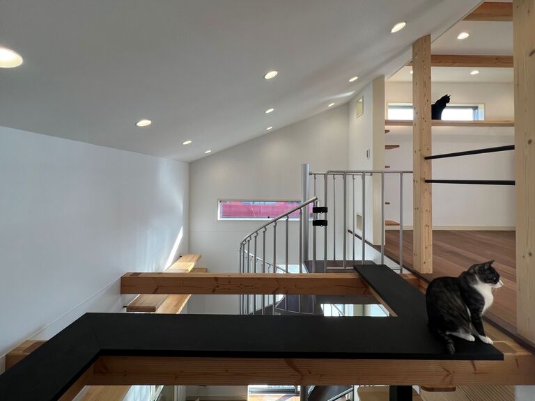 猫と暮らす家。1階の高天井を猫視点で見る。廣瀬慶二設計。