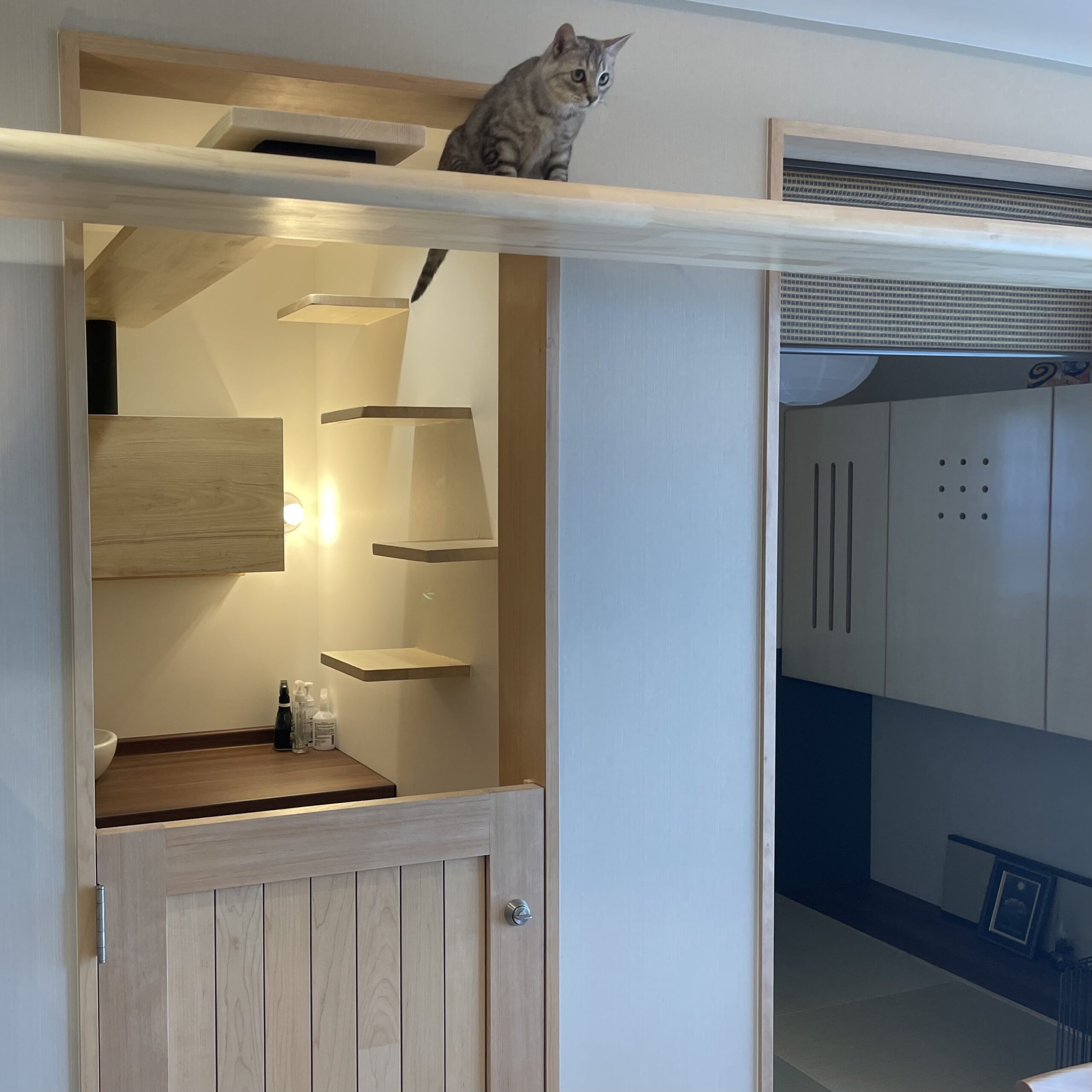 猫ステップとキャットウォーク