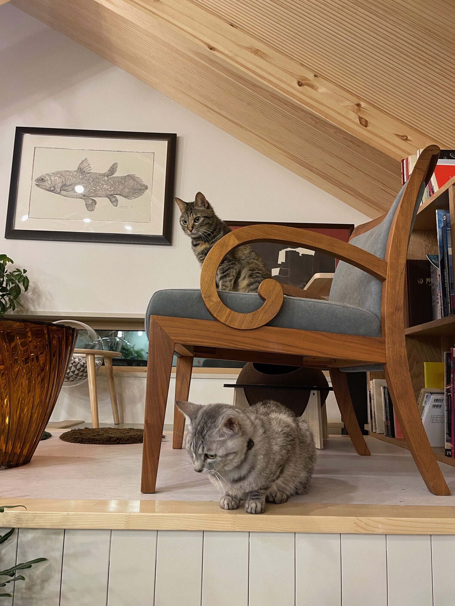 猫ロフトとラウンジチェア