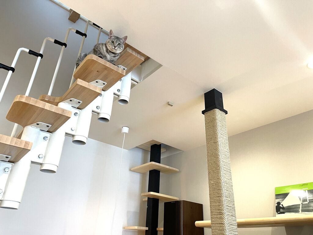 猫と住む家　ノードの作成法｜頻繁に使われる猫階段