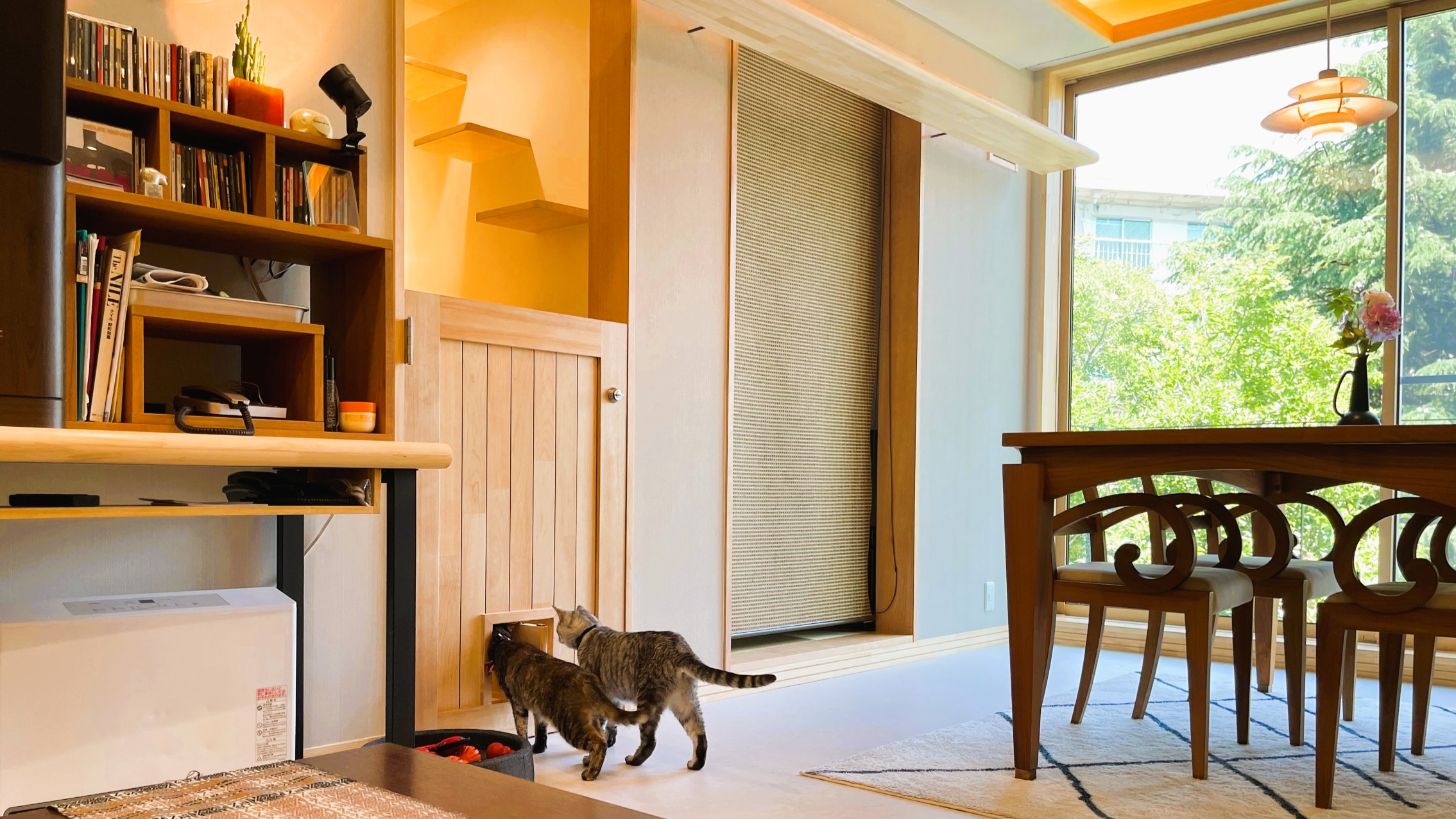 犬と猫の生活空間