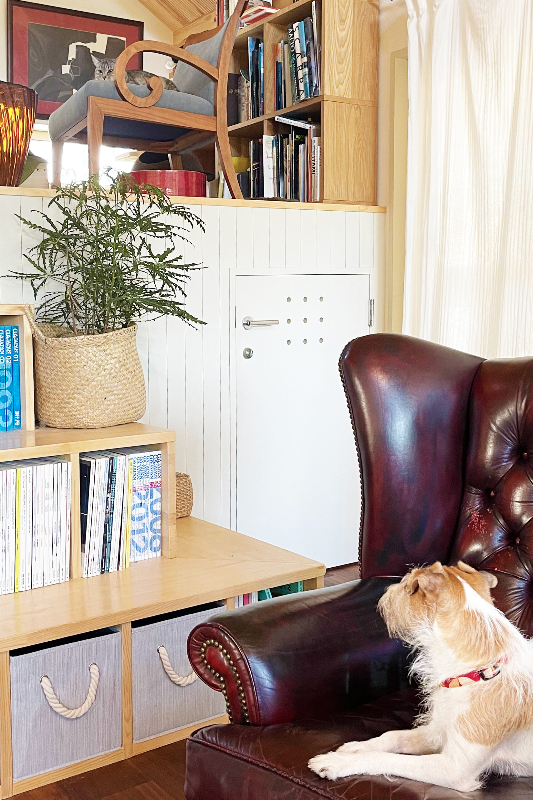 逃げ場のキャットウォーク