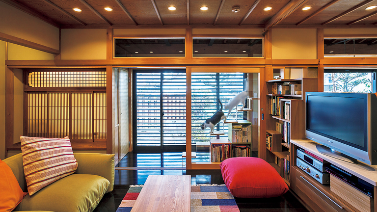 犬と猫と暮らす家。The Cats' House+Dog Si邸。廣瀬慶二設計。