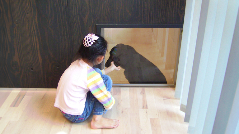 犬と暮らす家。リビングダイニング01。廣瀬慶二設計。