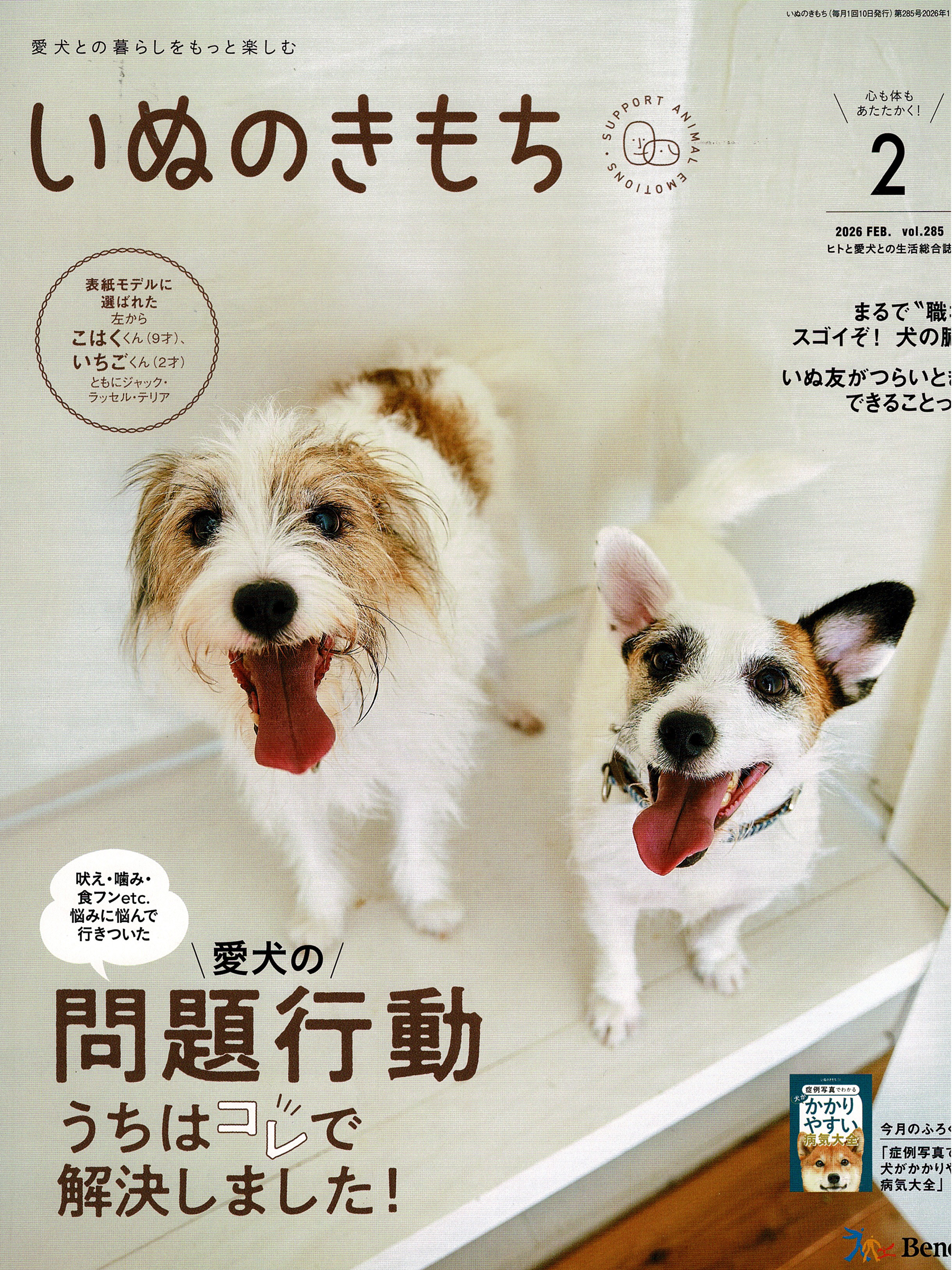 いぬのきもち 2026年2月号