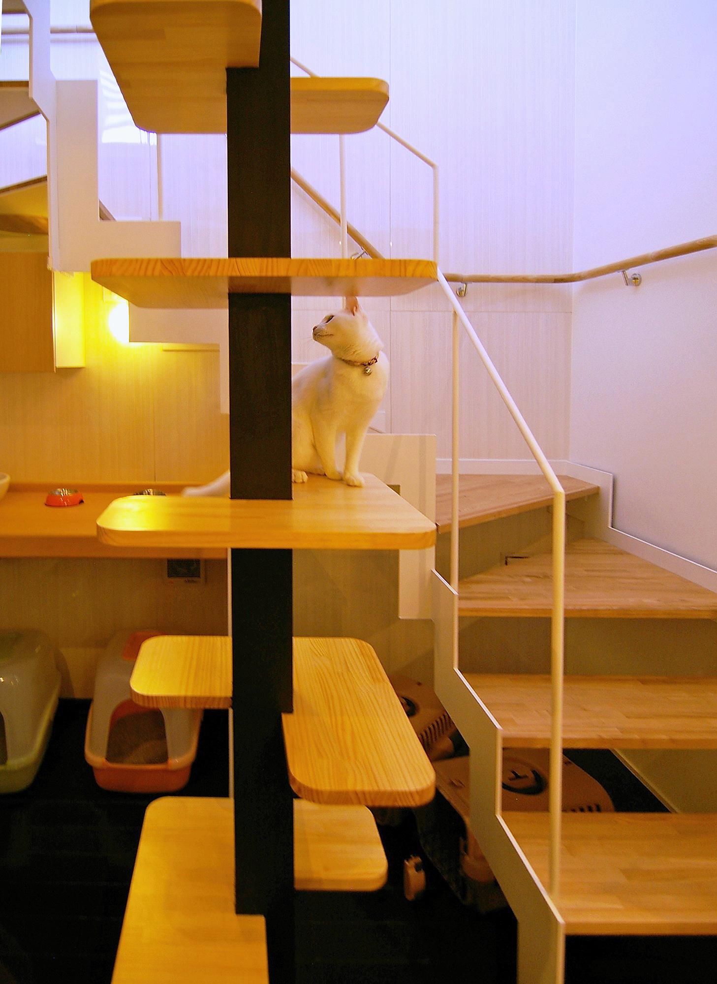 キャットツリー（白猫）