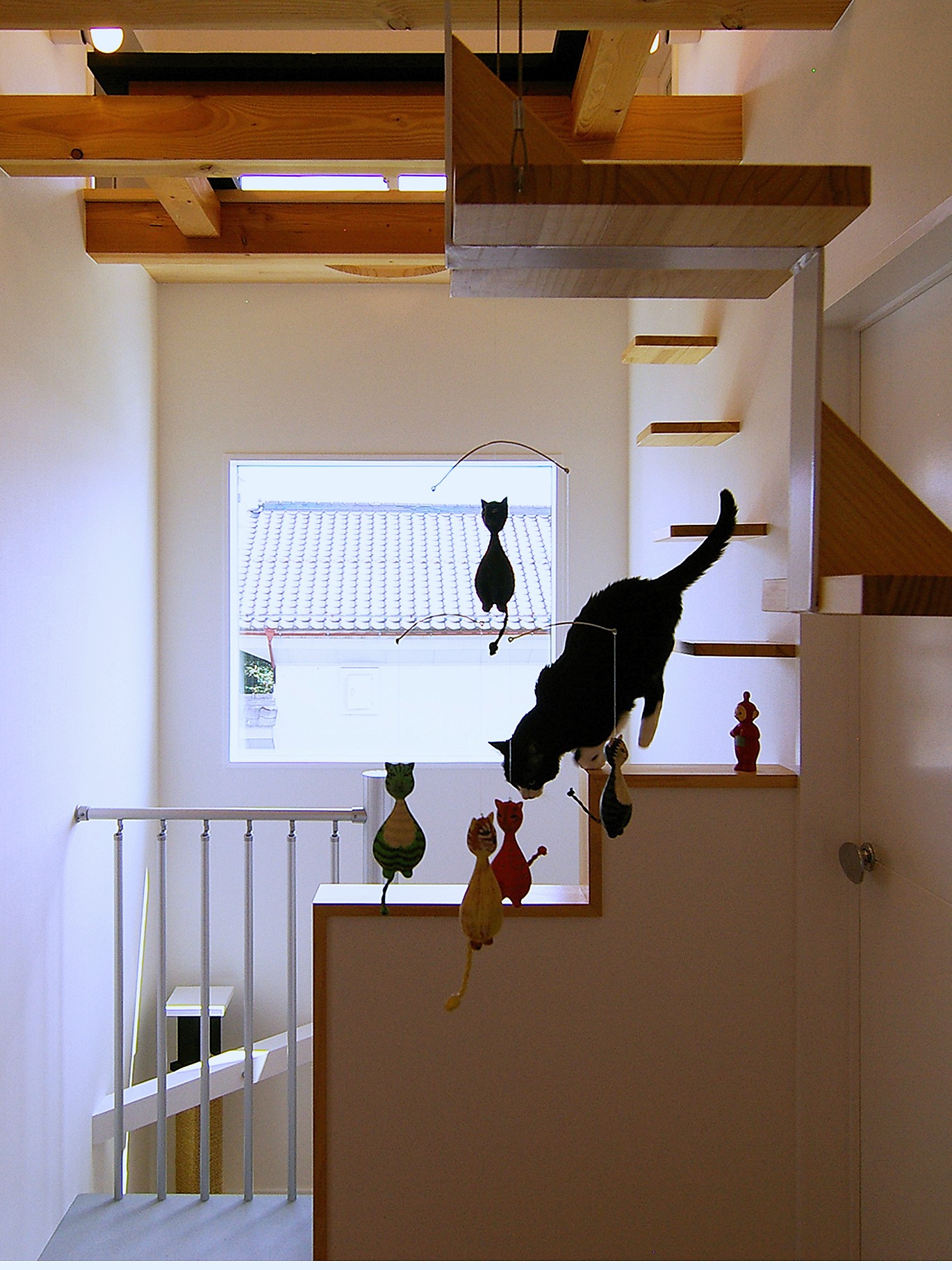 階段手すりを歩く猫たち