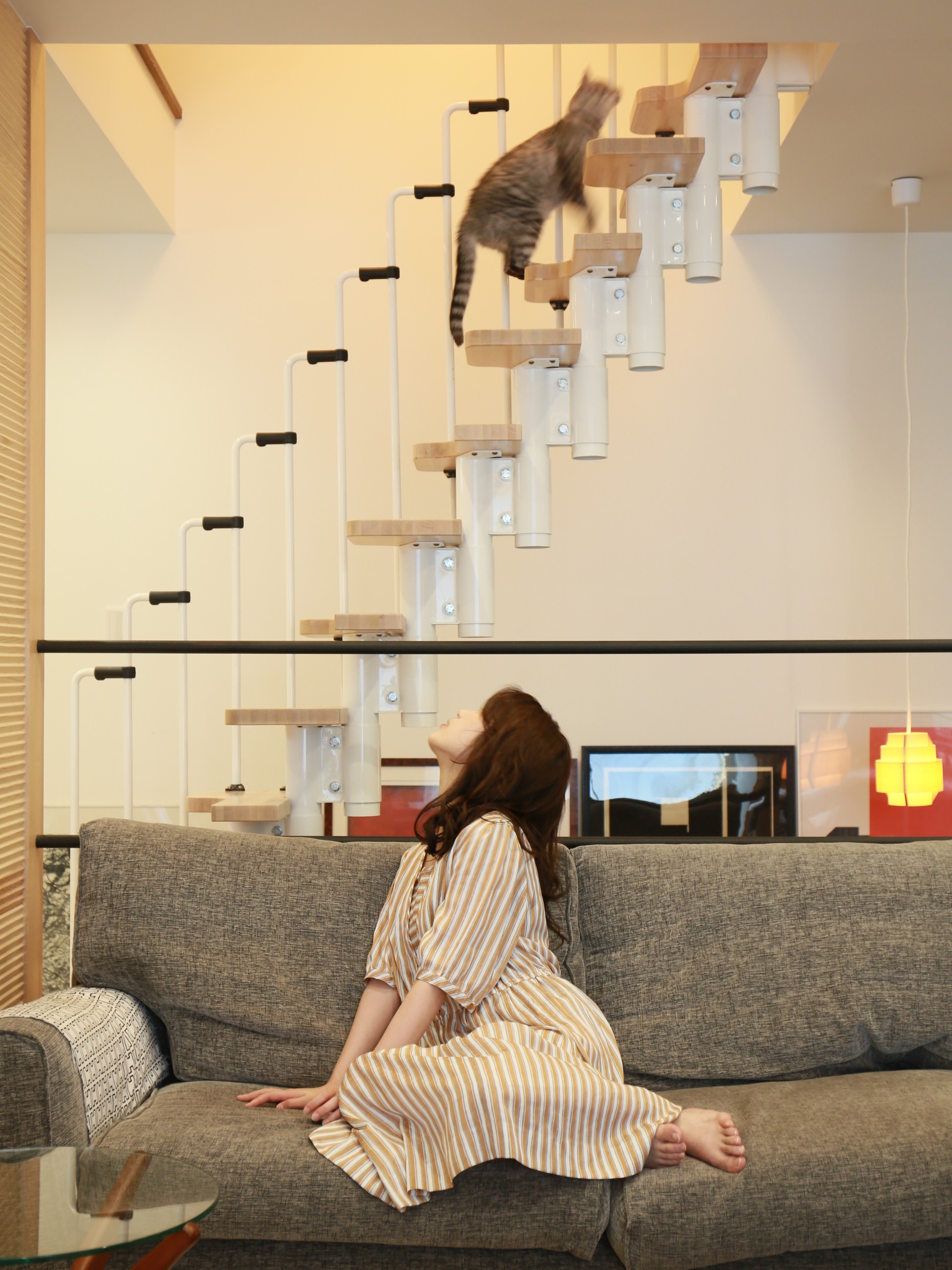 猫専用階段