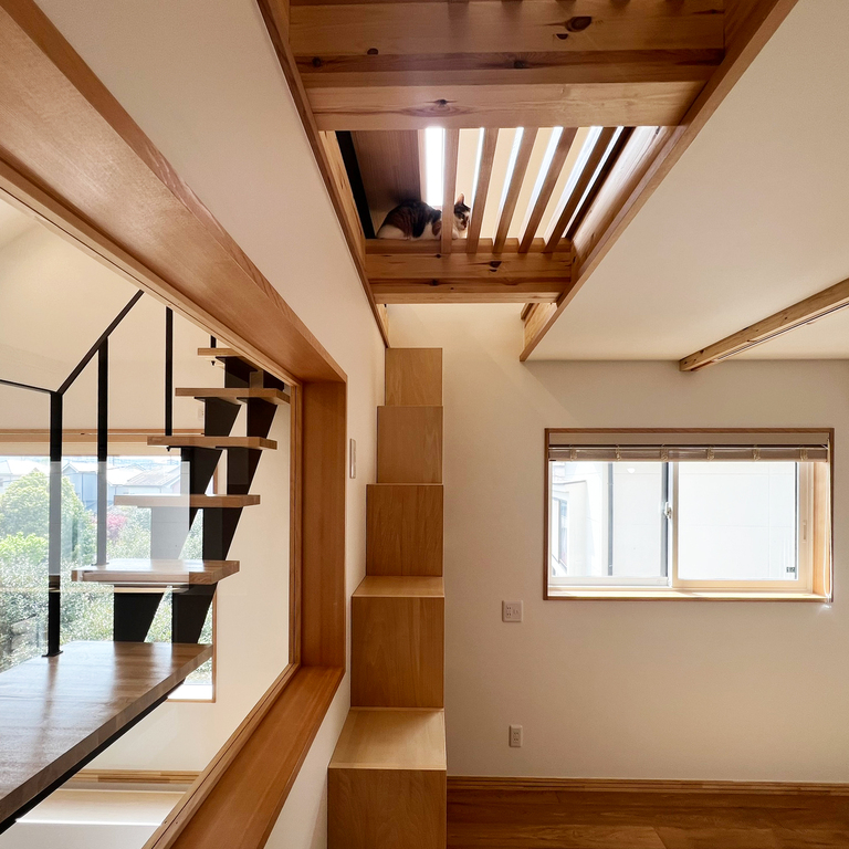猫と暮らす家。The Cat's House OZ邸。廣瀬慶二設計による猫と住む家の実例。