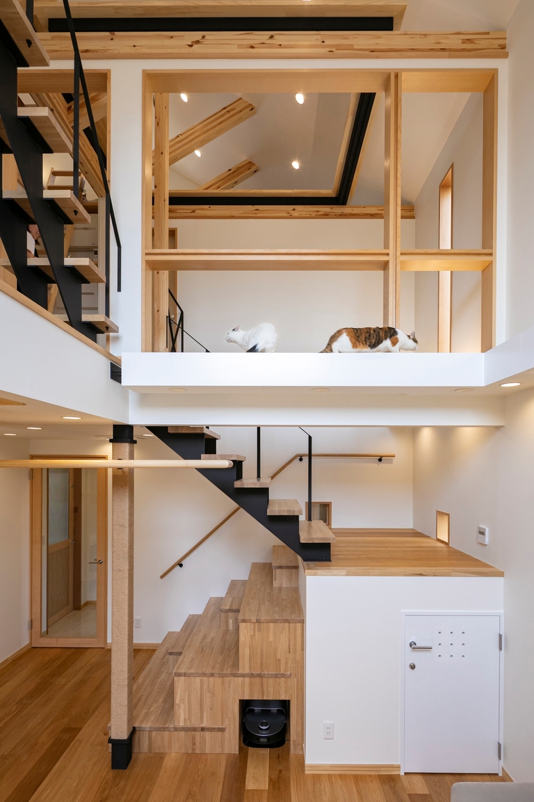 猫と暮らす家。吹き抜けに広がる、猫たちの立体的な動線。。廣瀬慶二設計。