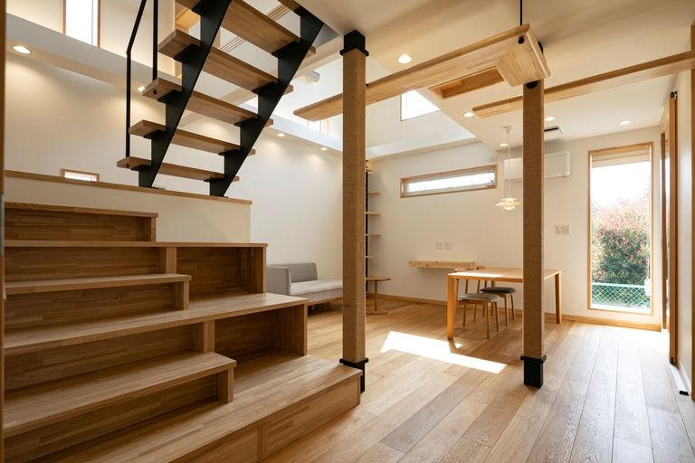 猫と暮らす家。本棚を兼ねた階段は、猫と人の共通動線。。廣瀬慶二設計。