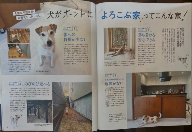 いぬのきもち2026年2月号（発売日1月10日）にうちのアリスが出ています。ちょっとだけ記事の監修もしました。住吉山手の家です。

#犬猫専門建築家 
#いぬのきもち 
#犬と暮らす家づくり 
#犬と猫のいる暮らし